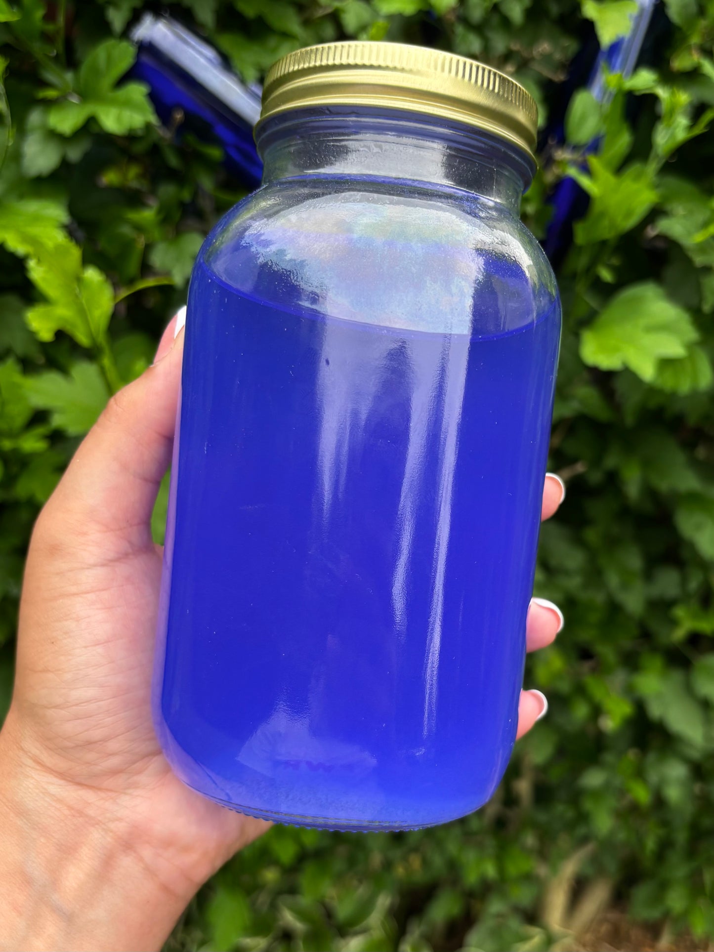 Indigo Water